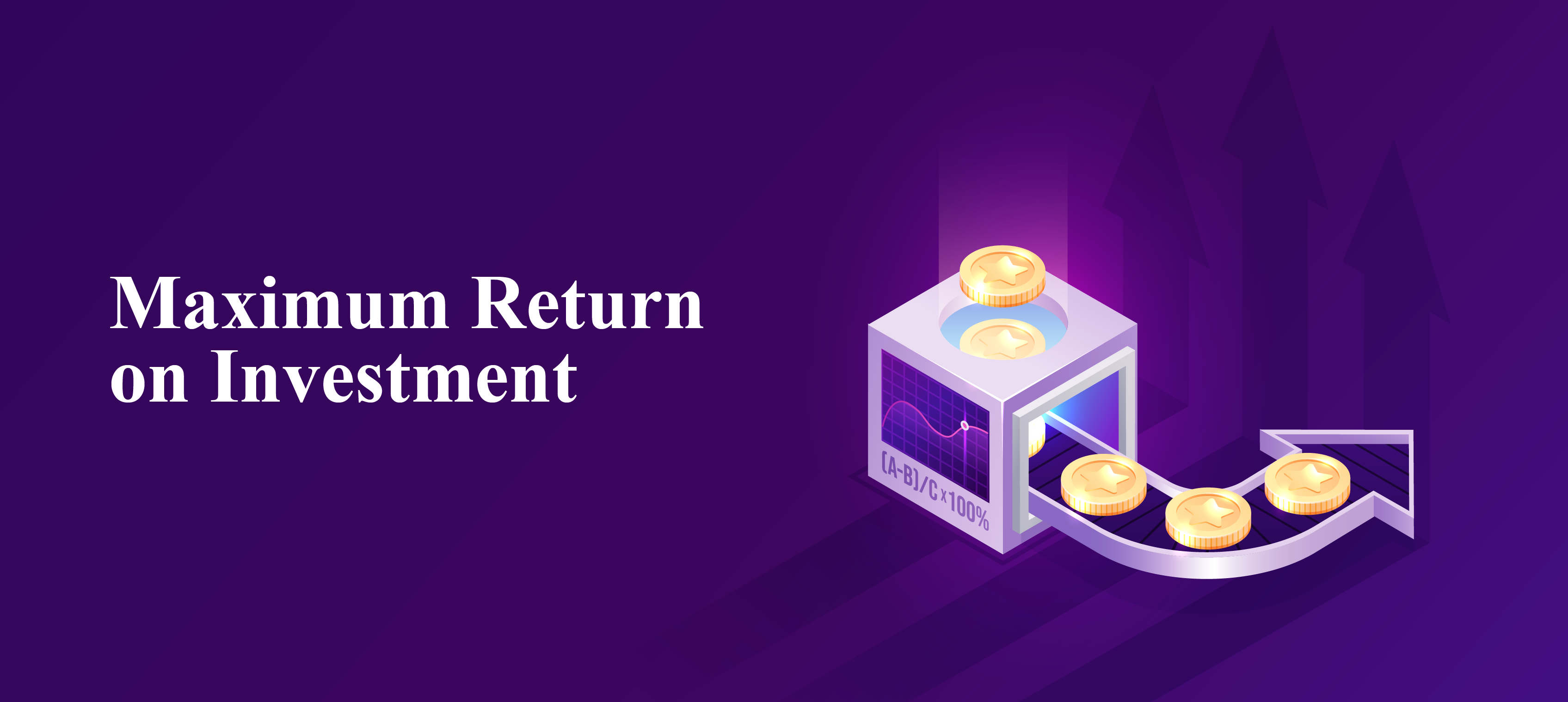 Maximum Return on Investment